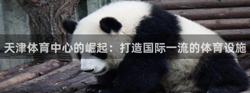 鼎天国际下载：天津体育中心的崛起：打造国际一流的体育设施