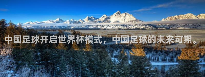 鼎天国际：中国足球开启世界杯模式，中国足球的未来可期。