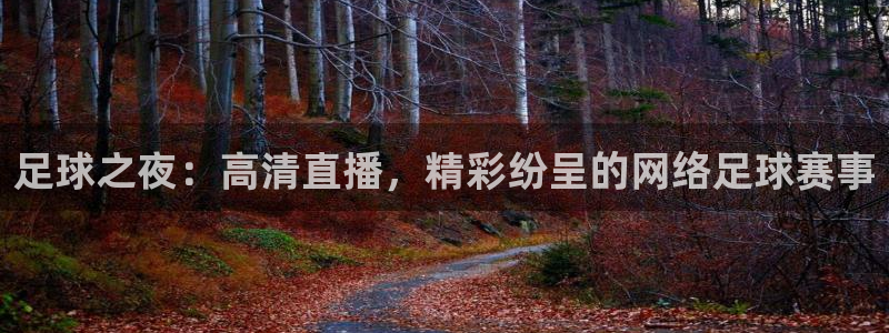 天津鼎天国际拍卖有限公司：足球之夜：高清直播，精彩纷呈的网络足球赛事