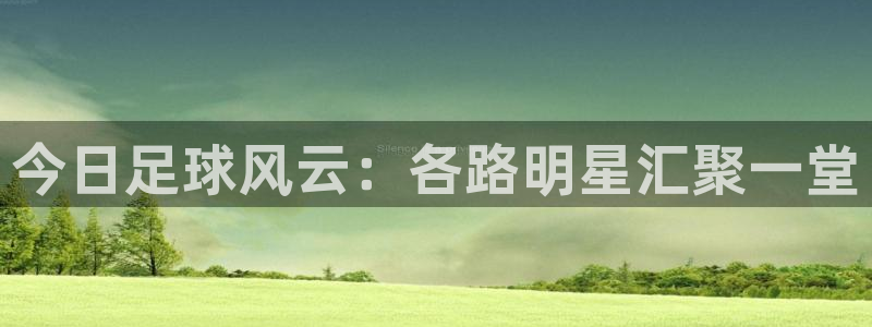 鼎天国际网站官网：今日足球风云：各路明星汇聚一堂