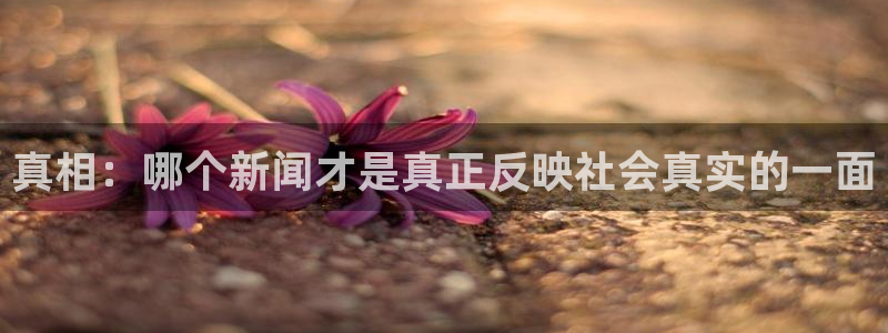 鼎天国际入口：真相：哪个新闻才是真正反映社会真实的一面