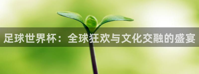 鼎天国际网站官网入口