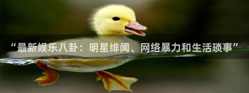 鼎天国际：“最新娱乐八卦：明星绯闻、网络暴力和生活琐事”