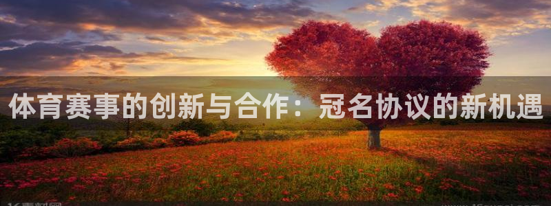 鼎天国际网页入口：体育赛事的创新与合作：冠名协议的新机遇