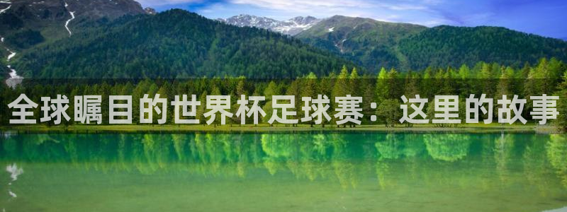 鼎天国际网站官网入口：全球瞩目的世界杯足球赛：这里的故事