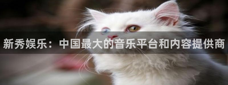 鼎天国际官网入口在哪：新秀娱乐：中国最大的音乐平台和内容提供商